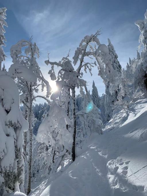 Stube9 Am Feldberg, Direkt An Der Skipiste, Ski In-Ski Out Feldberg  Bagian luar foto